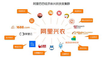 阿里興農生態圈再添新地標 盒馬擴建引領農產品直供直銷新鏈路